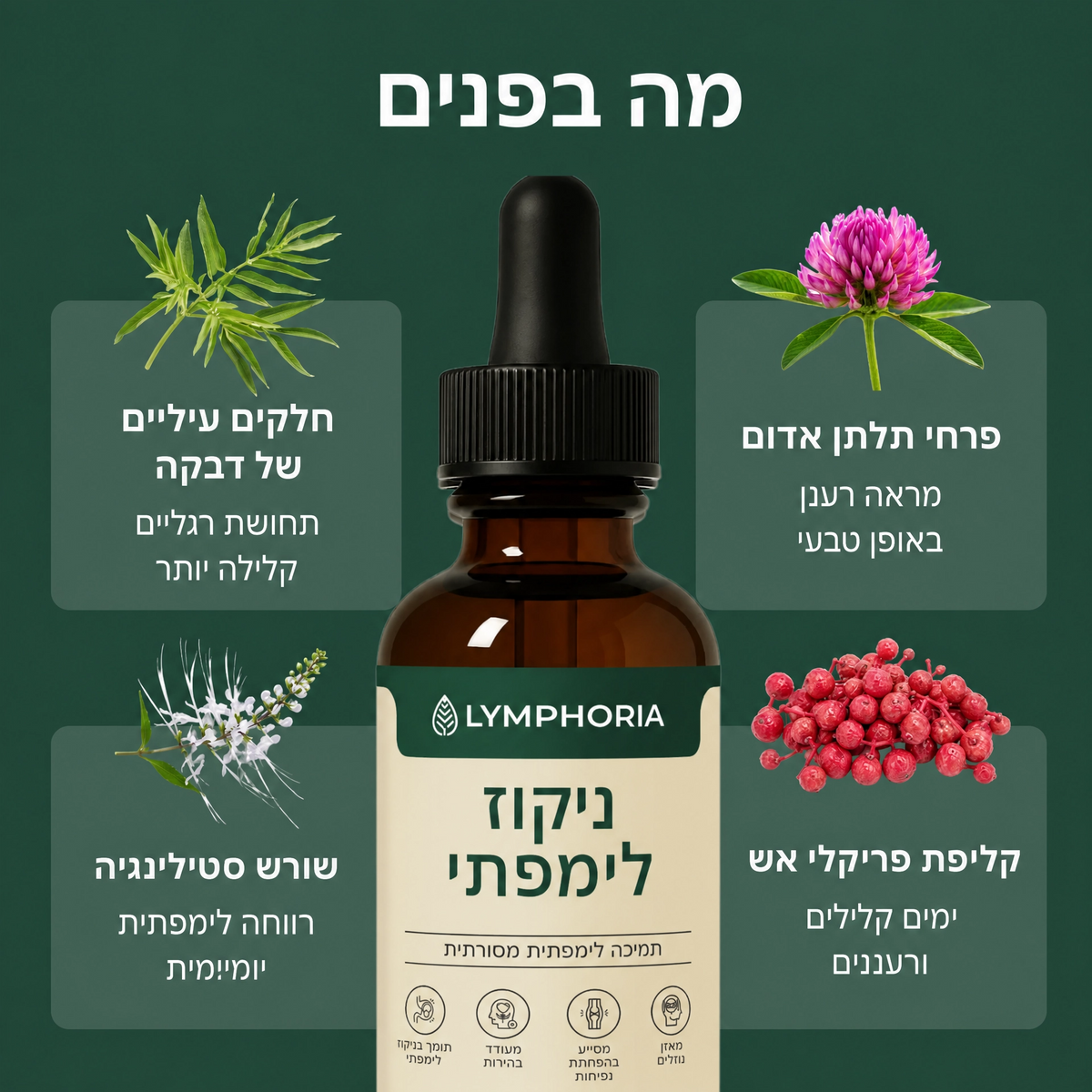 טיפות טבעיות לניקוז לימפתי
